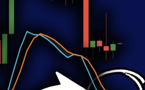 2023.09.13比特币行情分析-比特币日线大反弹，未来会继续反弹至28000美金？