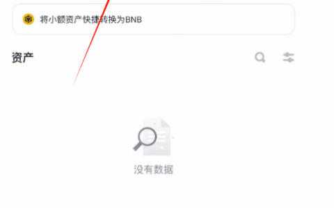 币安有钱包功能吗？