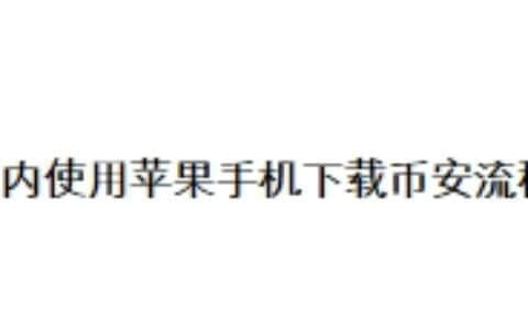 国内使用苹果手机下载币安流程