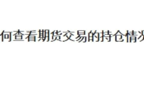 如何查看期货交易的持仓情况？如何使用Transfer功能？