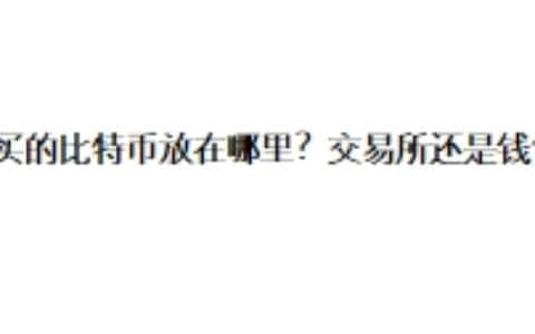 新买的比特币放在哪里？交易所还是钱包？