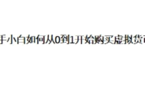 新手小白如何从0到1开始购买虚拟货币？