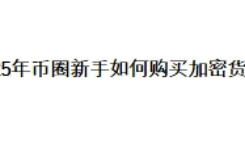 2025年币圈新手如何购买加密货币？