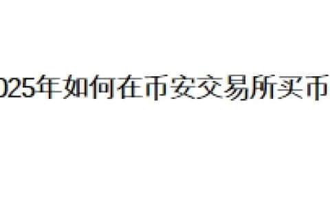 2025年如何在币安交易所买币？