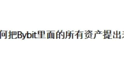 如何把Bybit里面的所有资产提出来？