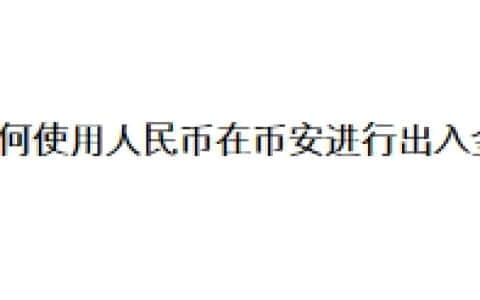 如何使用人民币在币安进行出入金？