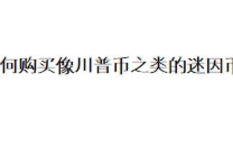 如何购买像川普币之类的迷因币？