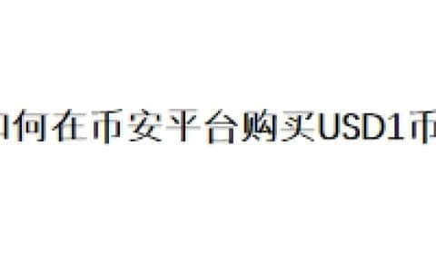 如何在币安平台购买USD1币？