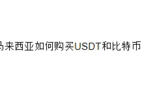 马来西亚如何购买USDT和比特币？