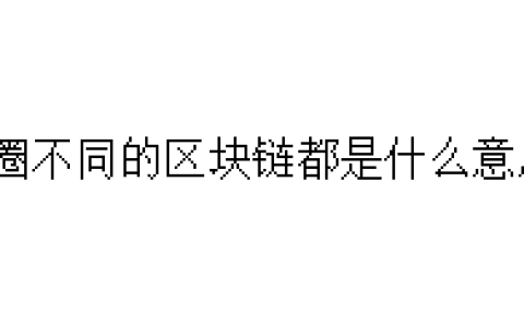 币圈不同的区块链都是什么意思？