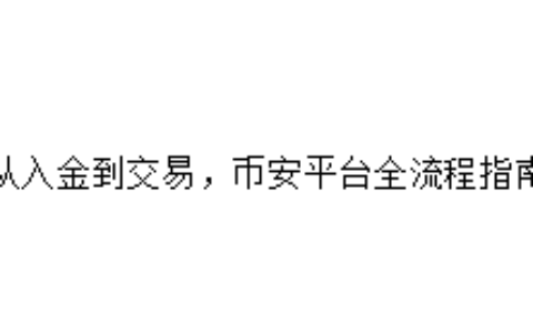 从入金到交易，币安平台全流程指南