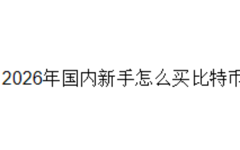 2026年国内新手怎么买比特币