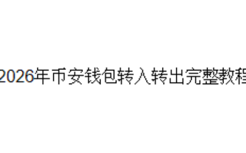 2026年币安钱包转入转出完整教程