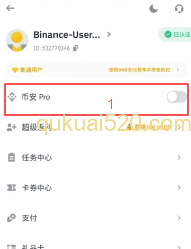 切换币安专业版