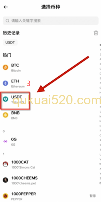 [币安充值网络选择页面]