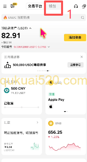 币安首页钱包选项界面