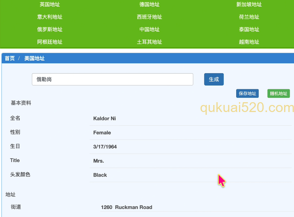 美国地址生成器页面