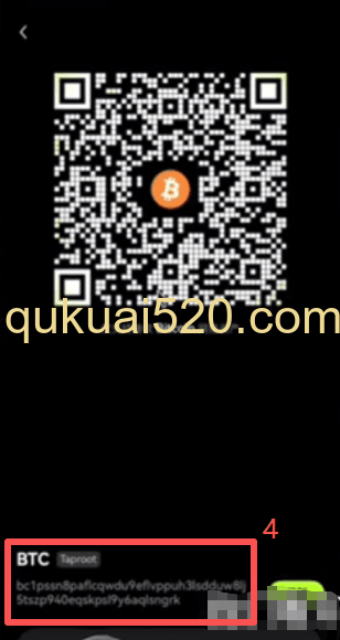 检查比特币地址页面