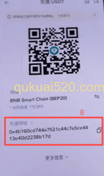 [钱包USDT无法发送提示界面]