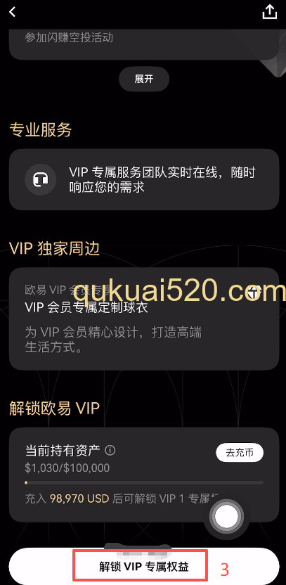 VIP等级充值要求界面