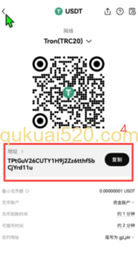 欧易链上充币选择币种界面]