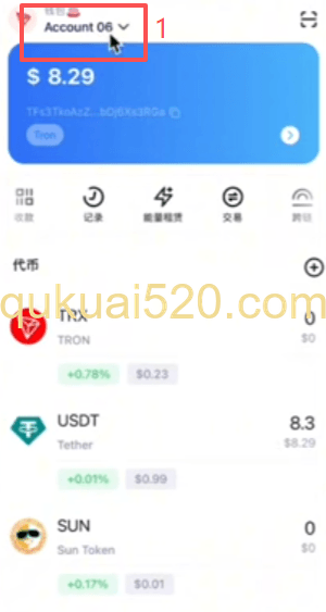 查看对应网络的币