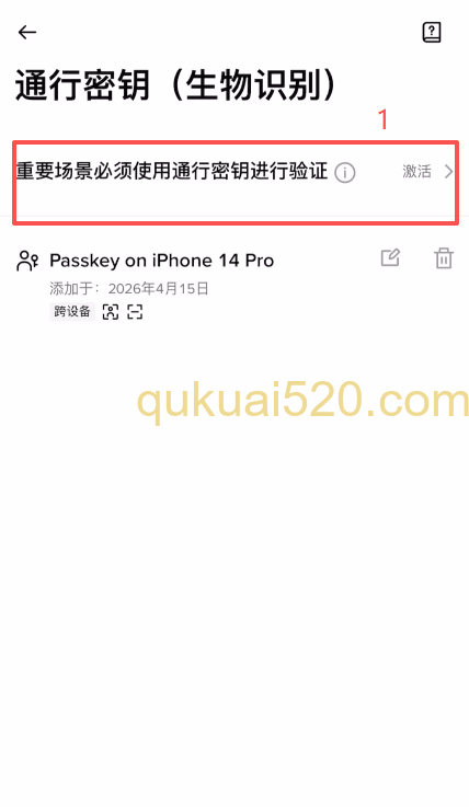 [通行密钥设置界面]