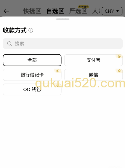支付方式页面