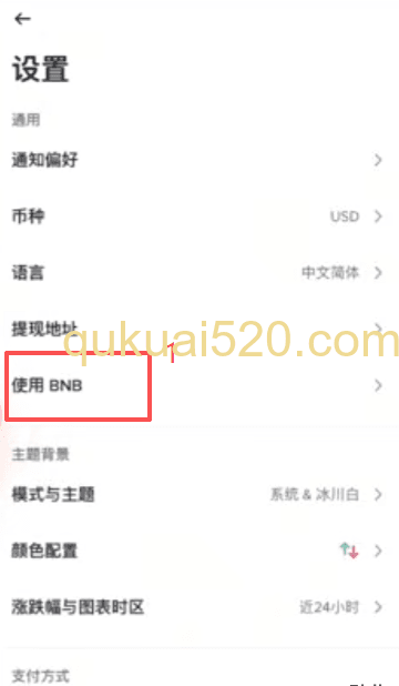 BNB支付设置界面
