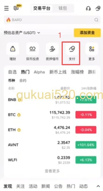 币安支付设置界面