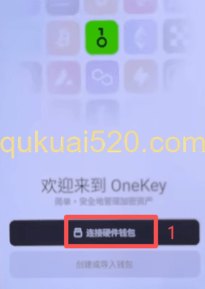 APP连接选择界面