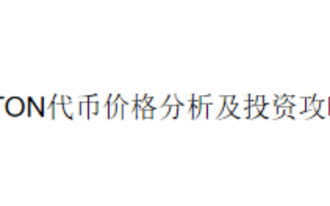 TON代币价格分析及投资攻略