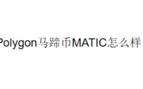 Polygon马蹄币MATIC怎么样？