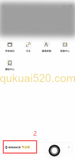 [币安专业版切换按钮]