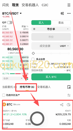 查看持有币种页面