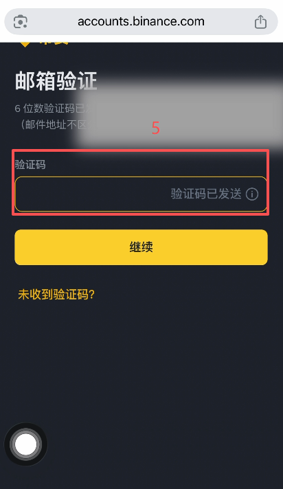 [邮箱验证码输入界面]