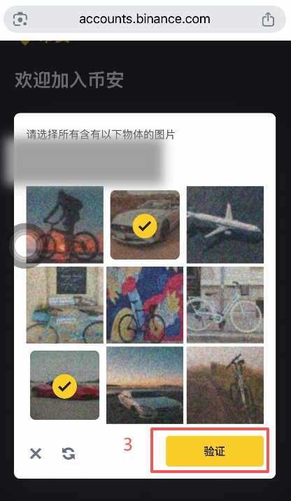 [邮箱验证码输入界面]