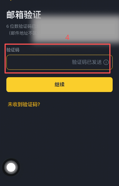 [邮箱验证码输入界面]