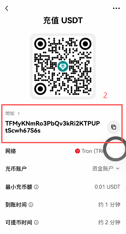 选择网络复制充币地址页面