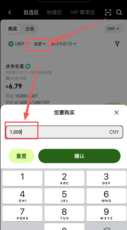 选择支付方式和筛选金额页面