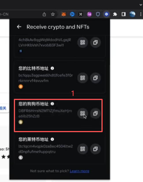 狗狗币地址获取页面