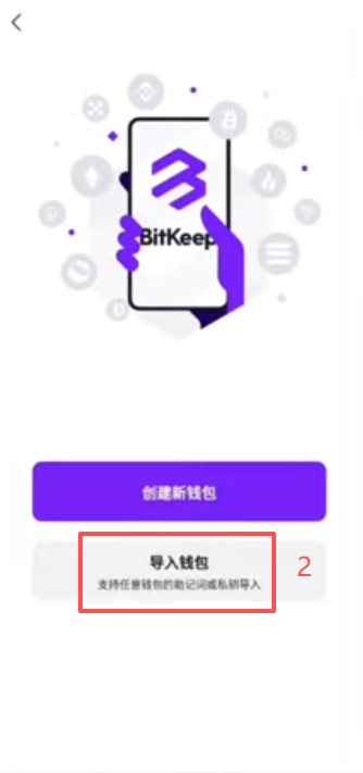 导入钱包选择助记词或私钥输入界面