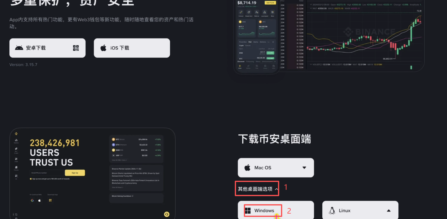 下载页面Windows选项按钮
