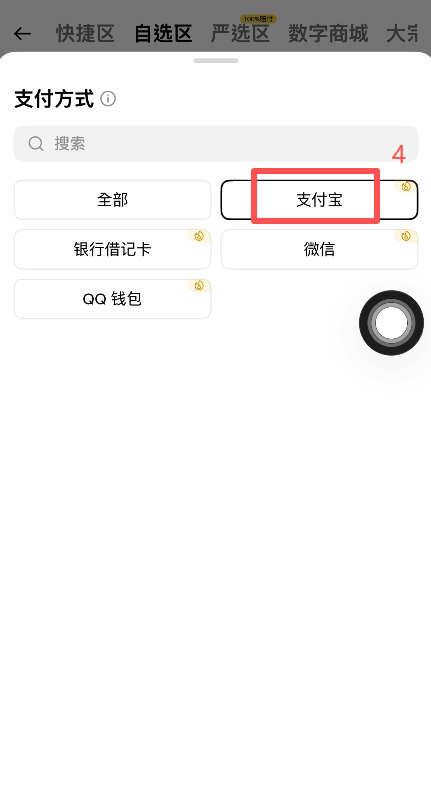 筛选金额和选择支付方式页面