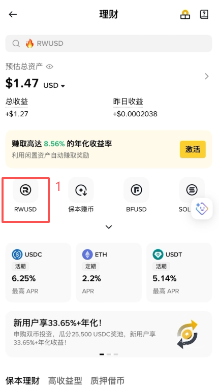 RWUSD项目页面