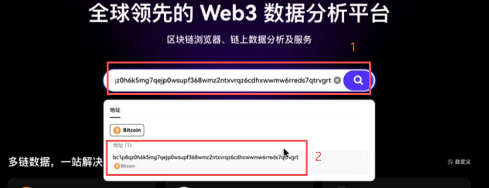 区块链浏览器查询地址A余额结果页