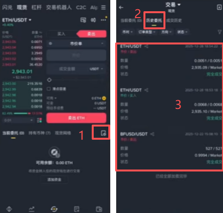 查看历史记录页面