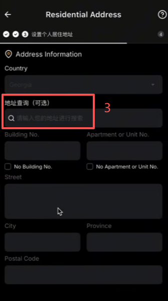 填写格鲁吉亚地址和职业信息表单界面