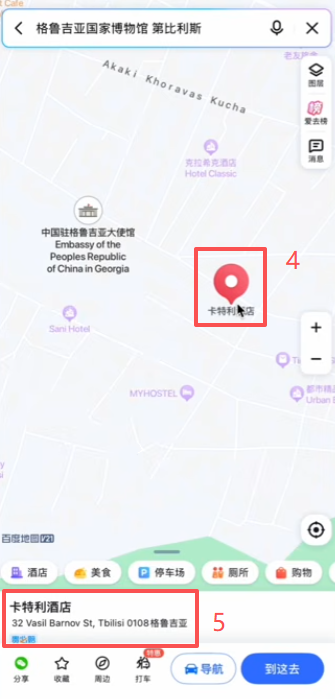 填写格鲁吉亚地址和职业信息表单界面