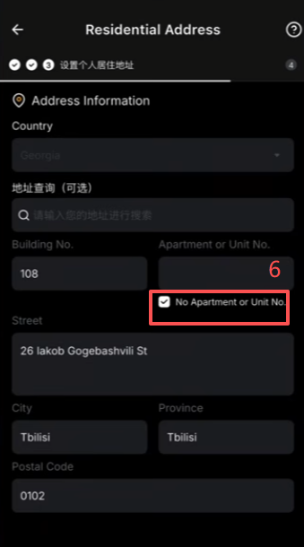 填写格鲁吉亚地址和职业信息表单界面